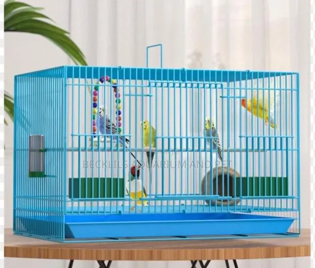 Large N Big Cages for Parrot · Photo 1