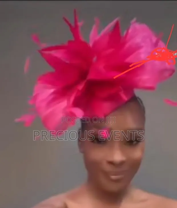 Fascinators · Photo 1