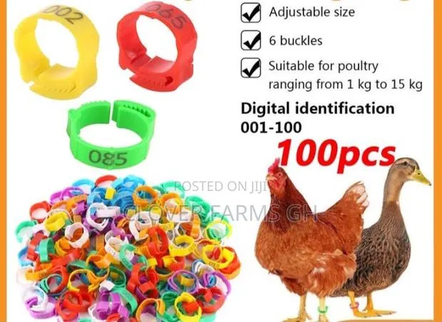 Chicken Feet Identifier /Foot Ring · Photo 1
