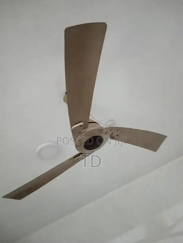 Ceiling Fan · Photo 1