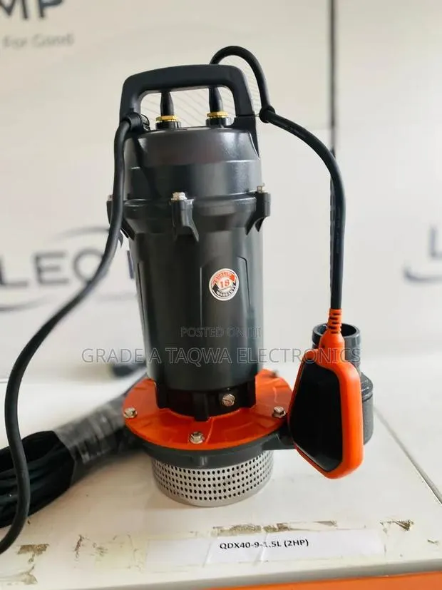 Cast Sewage Leo 2 Horsepower Water Pump · Photo 1
