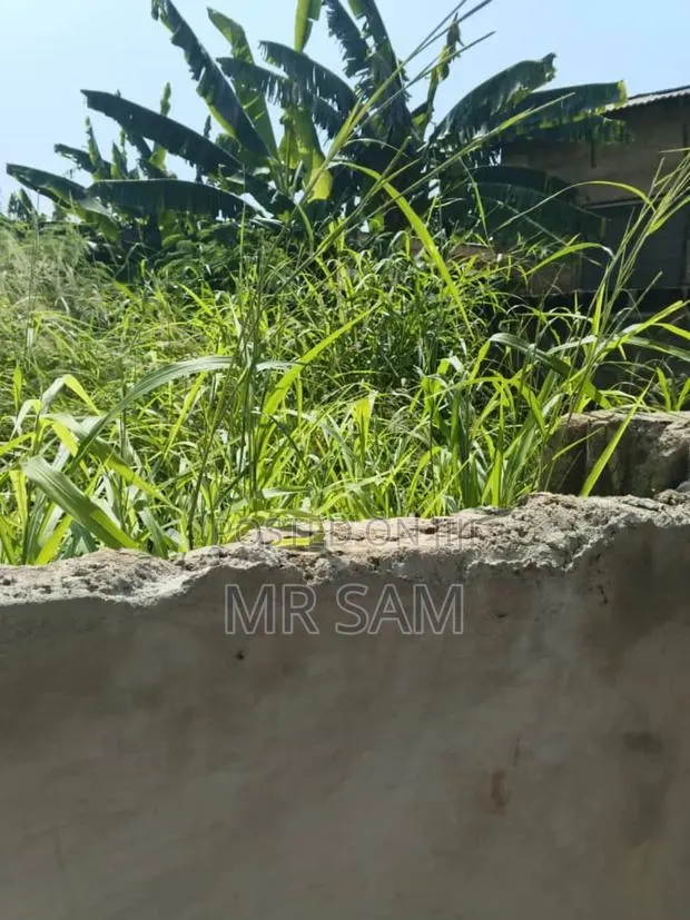 Land for Sale Around Mallam Julikart · Photo 1