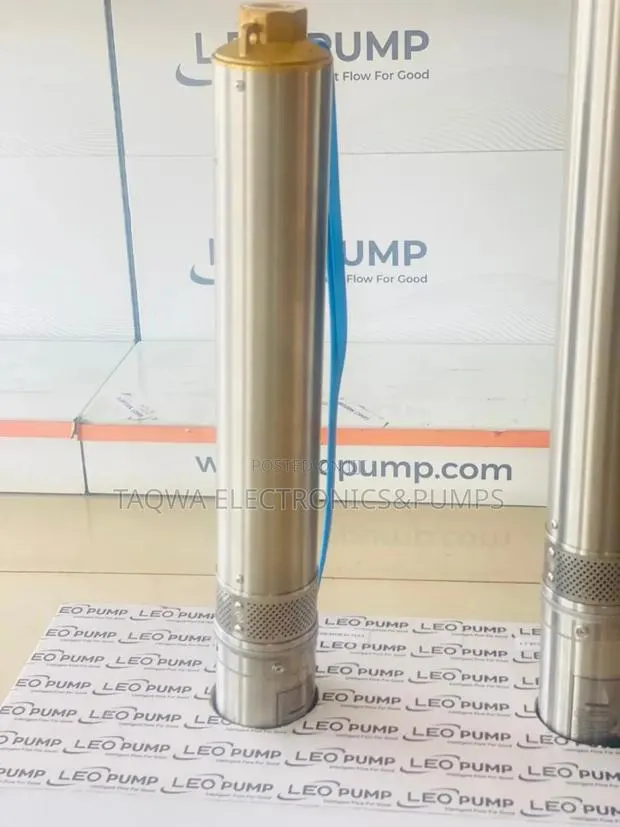 0.75kw \ 1.0hp Leo Borehole Pump · Photo 1
