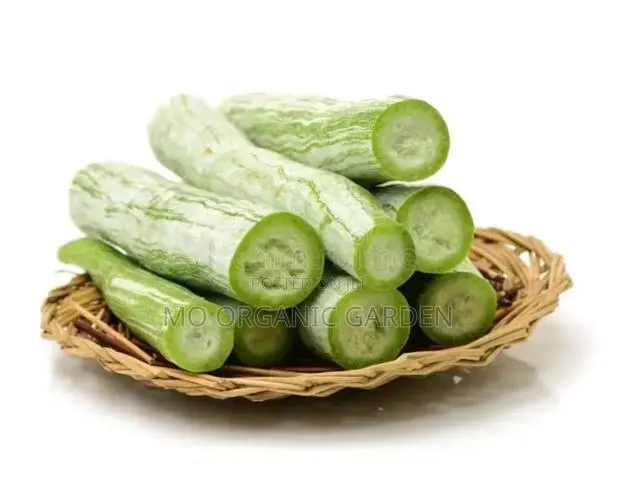 Snake Gourd Seeds –40 Seeds for 50 Cedis · Photo 3