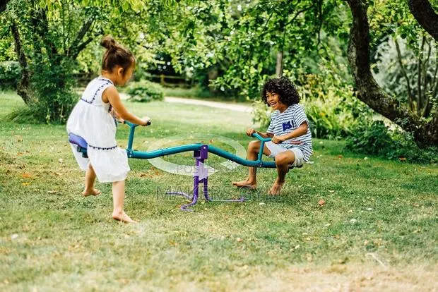 See Saw Purple and Teal(Rotating) · Photo 1