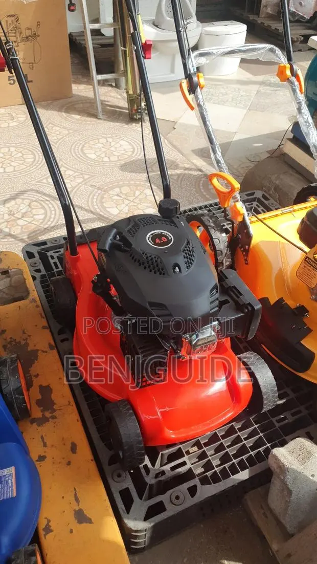 Gasoline Lawn Mower · Photo 1
