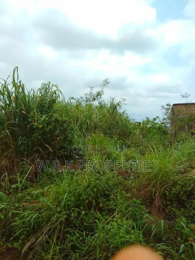 A Plot of Land for Sale · Photo 1