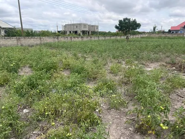 Land for Sale · Photo 1