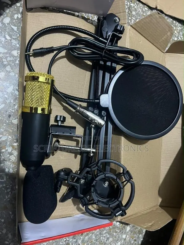 BM800 Studio Condenser Microphone · Photo 1