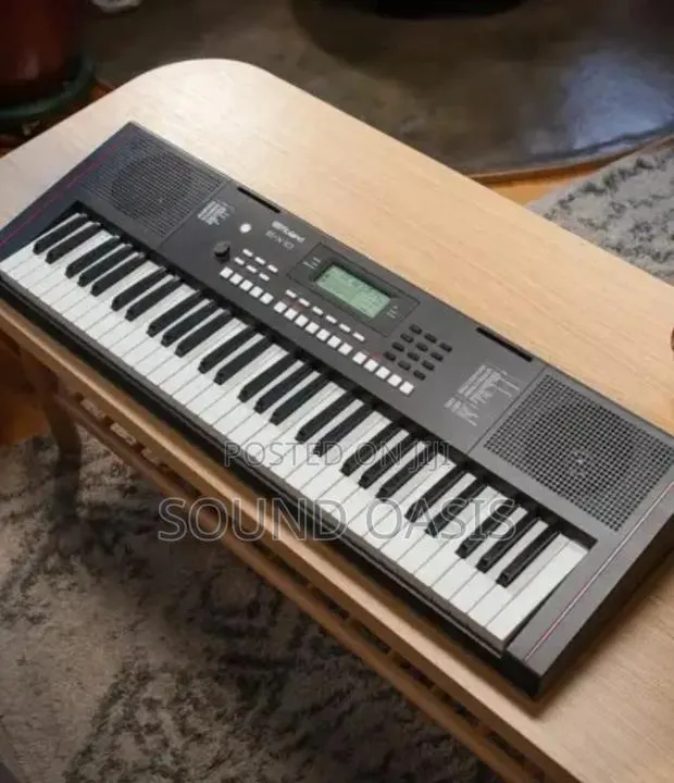 Roland E-X10 Arranger Keyboard · Photo 1