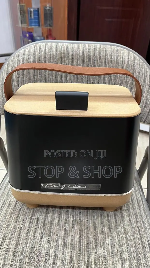 Frigidaire Insulated Cooler/Fridge · Photo 1