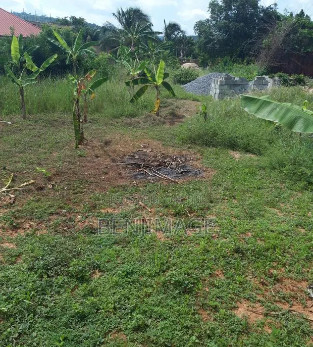Land for Rent · Photo 1