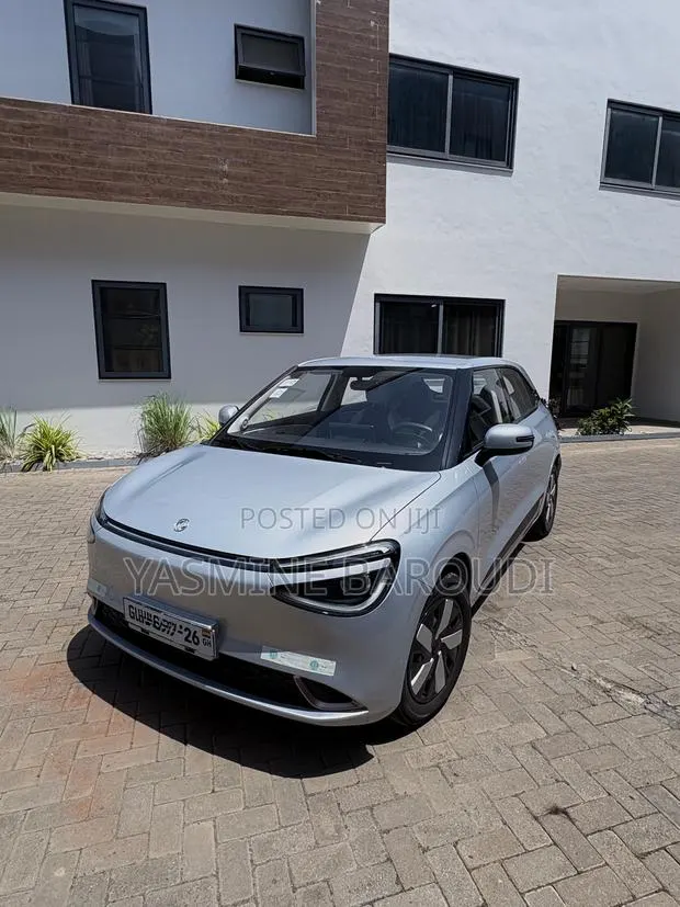 New Dongfeng Nammi Box 2025 Gray · Photo 1