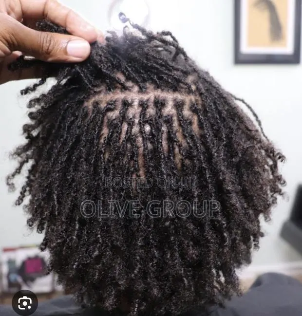 Elegant Sisterlocks · Photo 1