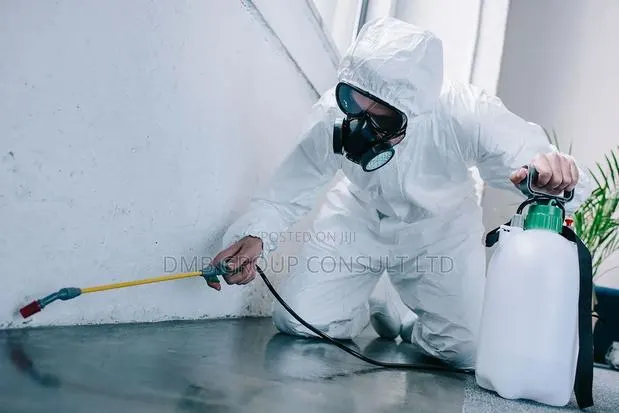 Dome Fumigation Expect · Photo 1