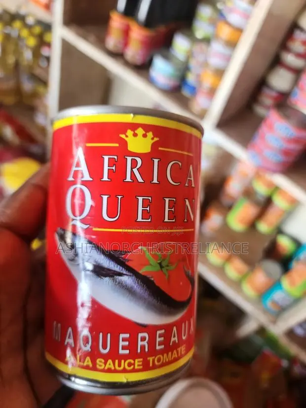 African Queen Mackerel · Photo 1