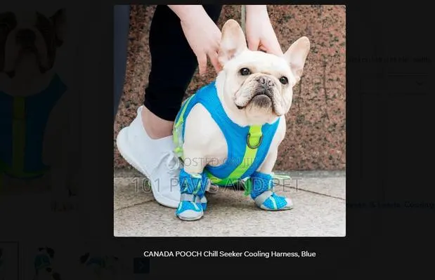 CANADA POOCH Chill Seeker Cooling Harness, Blue · Photo 1