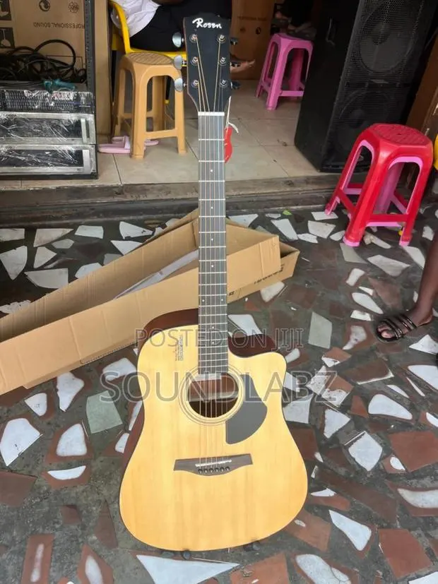 Rosen G15 Acoustic Guitar · Photo 1