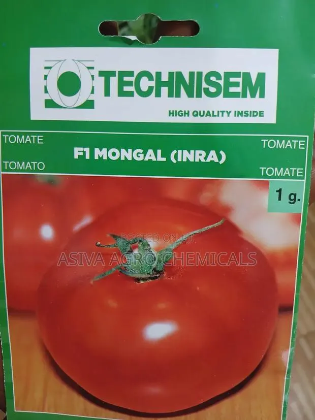 F1 Mongal Tomato Seeds. · Photo 1