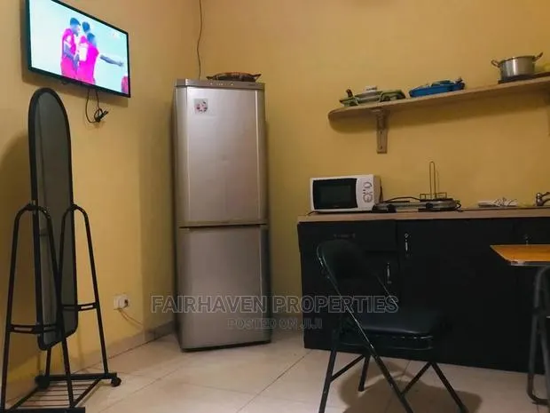 Furnished 1bedroom Apartment at Osu · Photo 1