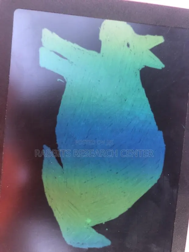 Free Rabbit Consultation and Treatment Guide · Photo 4