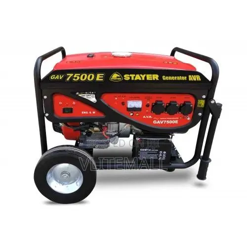 Stayer GAV7500E
Gasoline Generator · Photo 1