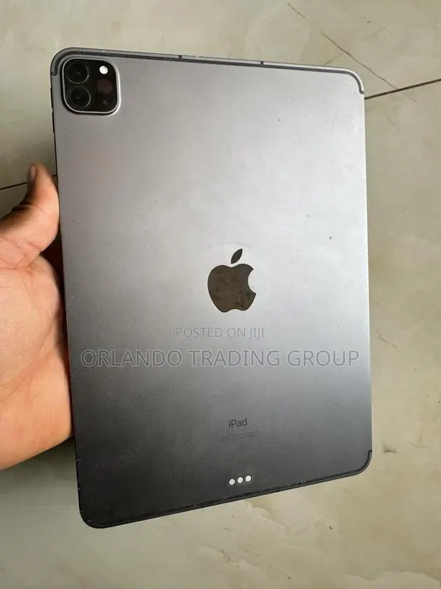 Apple iPad Pro 11 (2024) 256 GB Gray · Photo 1