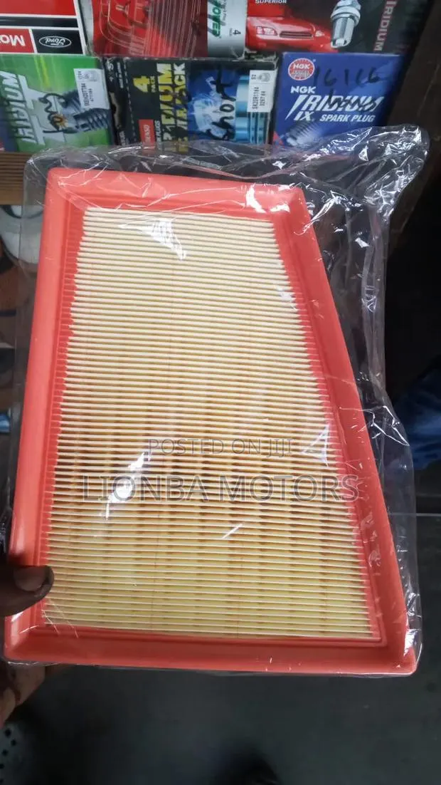 Nissan Sentra B16 2010 Air Cleaner Element · Photo 1