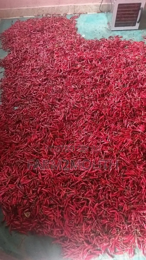 Dried Chilli Pepper · Photo 1