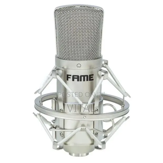 Fame Cm1 Studio Microphone · Photo 1