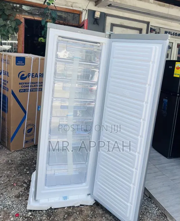 Nasco Upright Standing Freezer With Fast Freezing Function(Nasd1-33) · Photo 1
