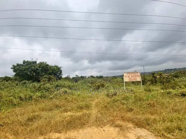 The Benjamins Property · Photo 1