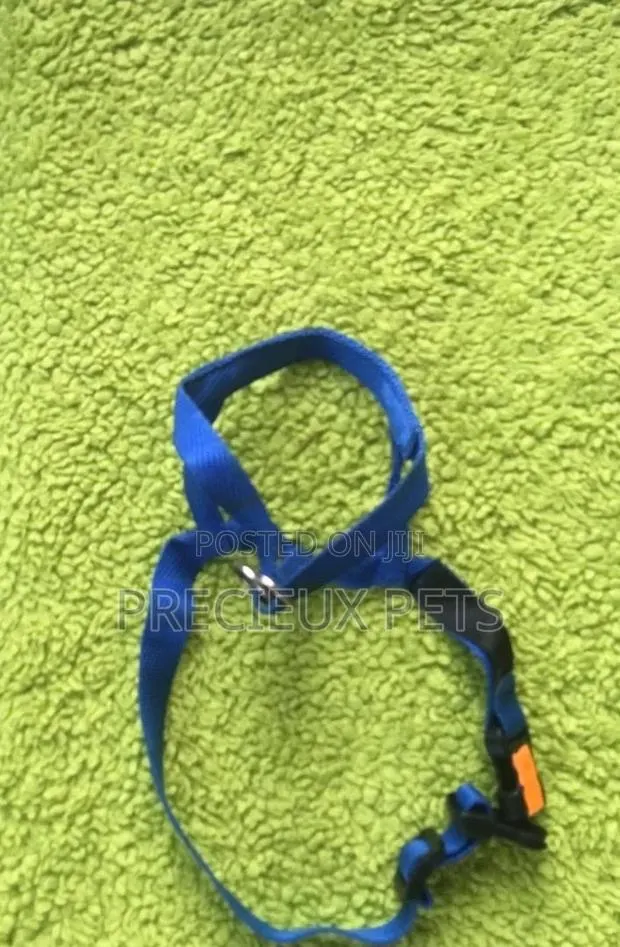 Toy Dog Harness #1 · Photo 1