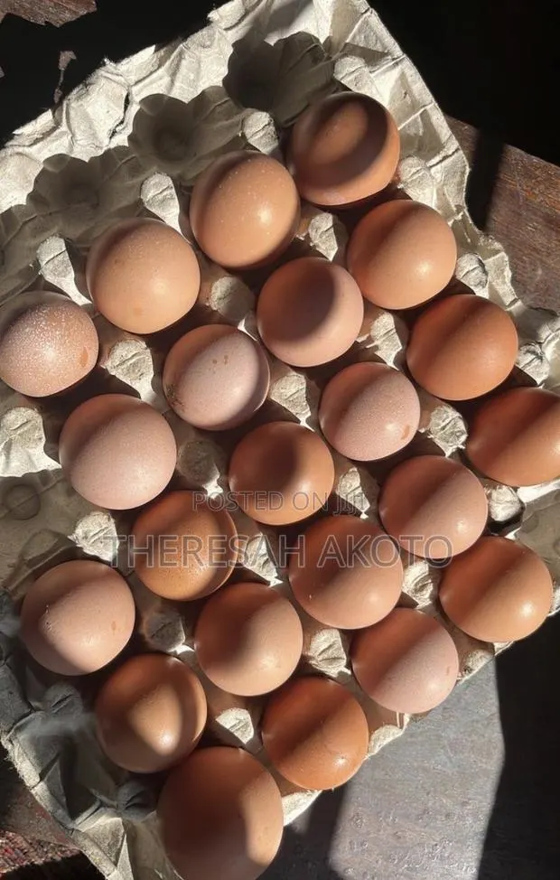 Fresh Eggs · Photo 1