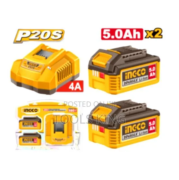 P20s Lithiumion Battery and Charger - Fbcpk2513 · Photo 1