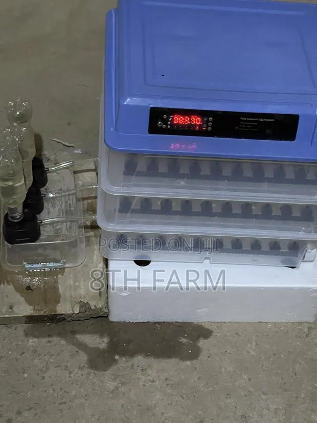 Automated Egg Incubator ( 200 Capacity) · Photo 1