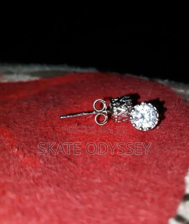 Ice Earrings Both Men and Women · Photo 1