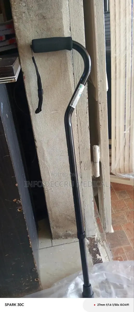 Walking Stick ( Portable Black) · Photo 1