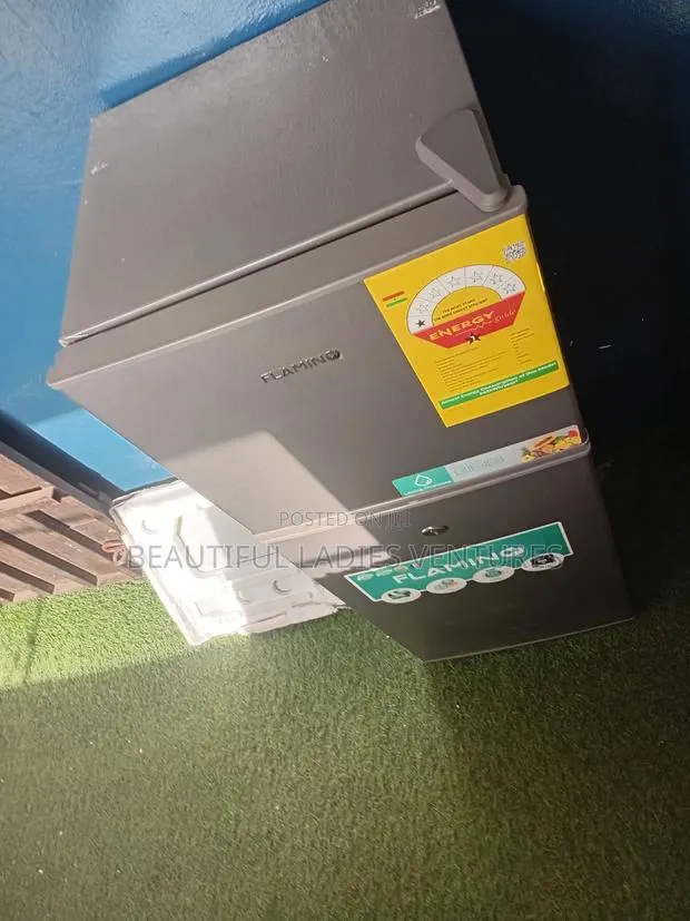 Flamino 80l Refrigerator – Modern Design With Efficient Cooling · Photo 1