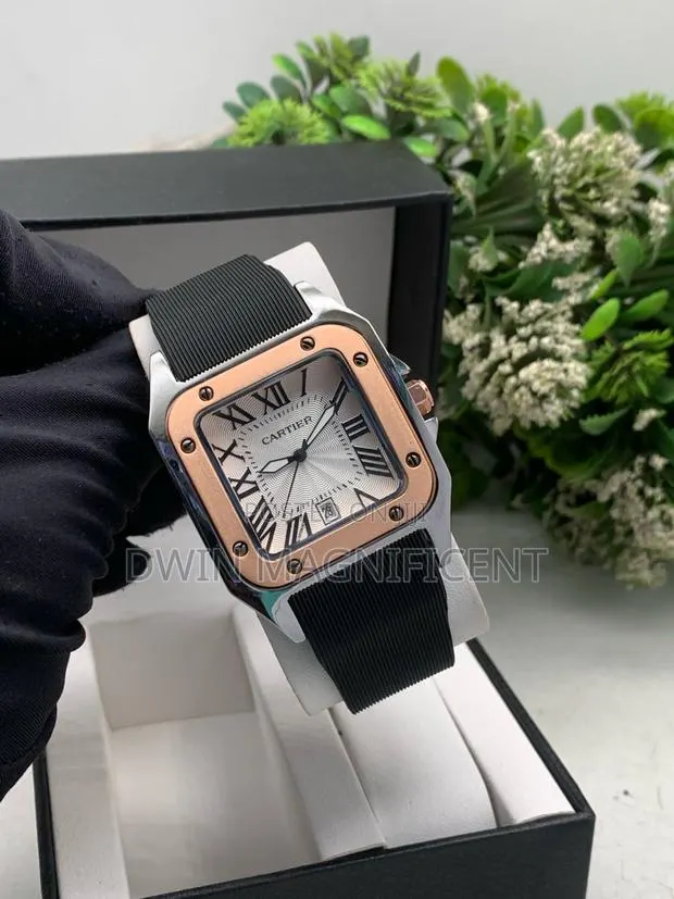 Cartier Santos Dumont Watch · Photo 1