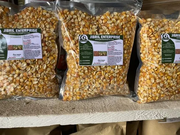 Deux Mois, 75 Days Togolese Yellow Maize Seeds, 1kg /25gh, Non Hybrid · Photo 1