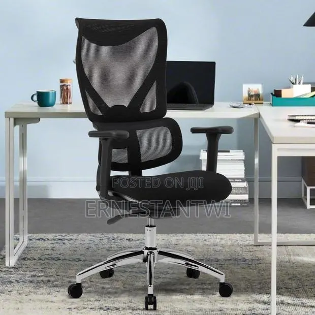 Ergonomic Office Chair · Photo 1
