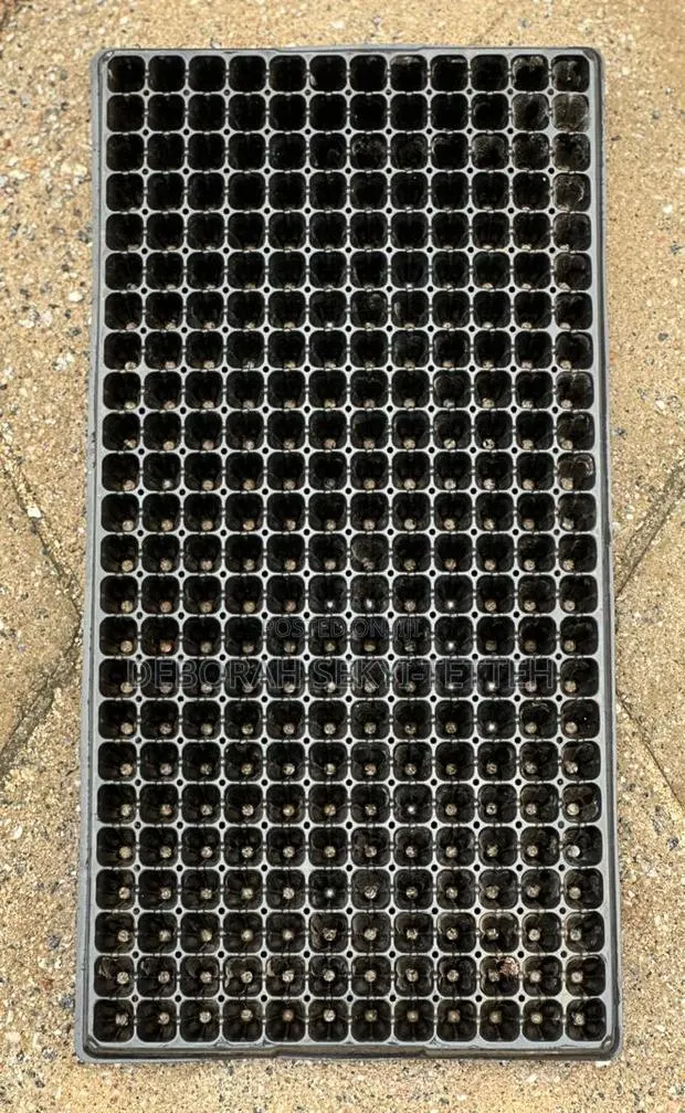 Seedling Tray · Photo 1