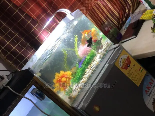 Merlin Tabletop Aquarium With 5 Fishes · Photo 1