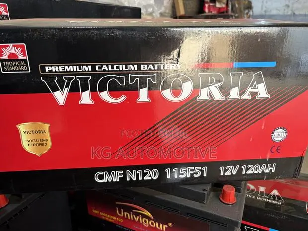 21 Plate Victoria Battery · Photo 1