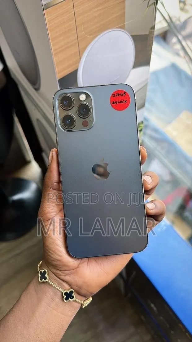 Apple iPhone 12 Pro Max 256 GB Gray · Photo 1