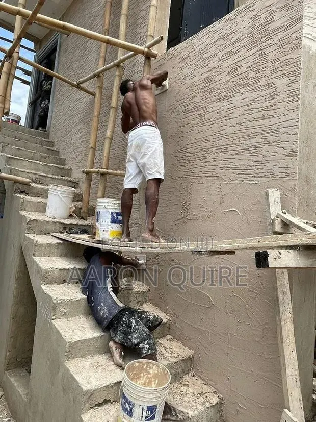 Professional Painter · Photo 1