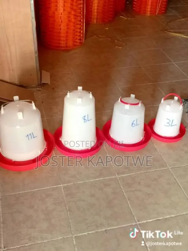 Plastic Drinkers and Feeders · Photo 1