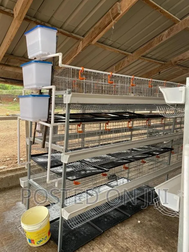 Chicken Cages · Photo 1