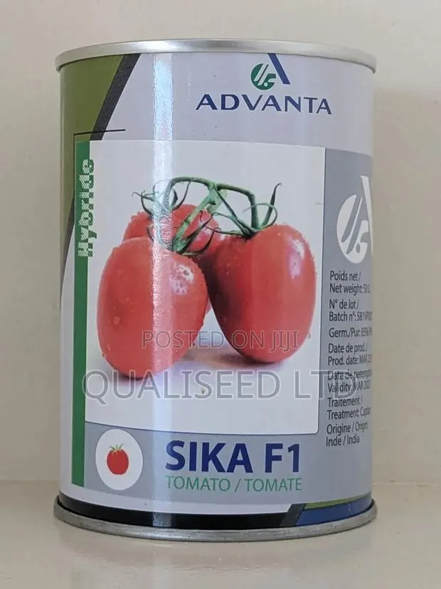 Tomato Sika F1 · Photo 1
